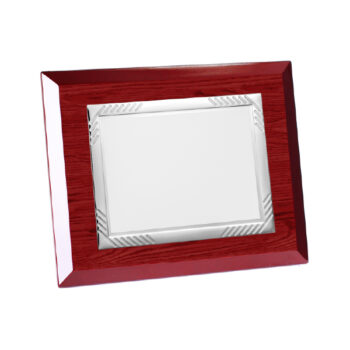 Placa Clásica Aluminio