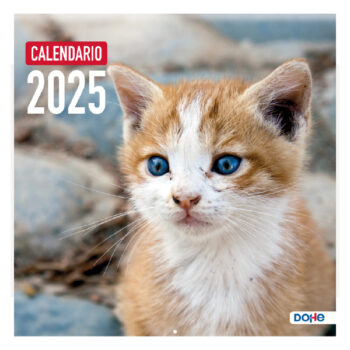 Calendario de Pared Gatos