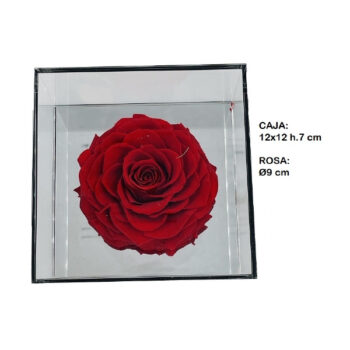 Rosa Preservada Caja Metacrilato