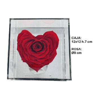 Rosa Preservada Caja Metacrilato Forma Corazón