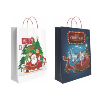 Bolsa Decorada Navidad Surtido G «S» 24+10×32 cm